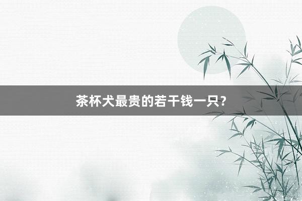 茶杯犬最贵的若干钱一只？