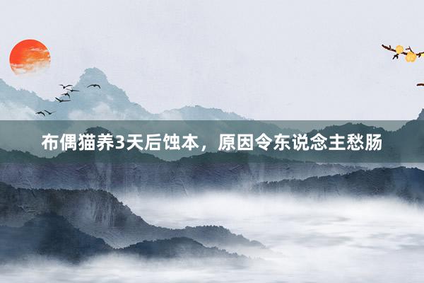 布偶猫养3天后蚀本，原因令东说念主愁肠